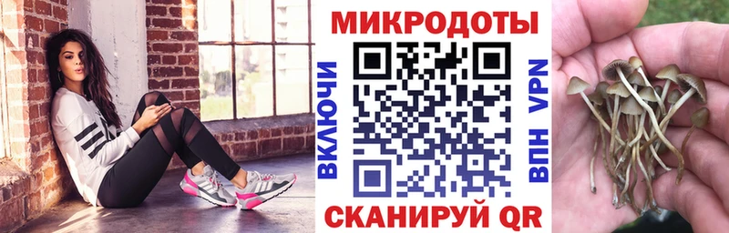 Псилоцибиновые грибы MAGIC MUSHROOMS мега зеркало Петухово